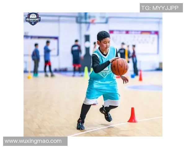 幼儿园篮球活动乐趣无限让孩子们在阳光下快乐成长
