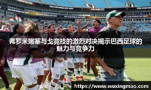 弗罗米嫩塞与戈竞技的激烈对决揭示巴西足球的魅力与竞争力